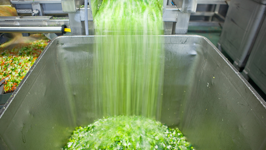 Food Processing